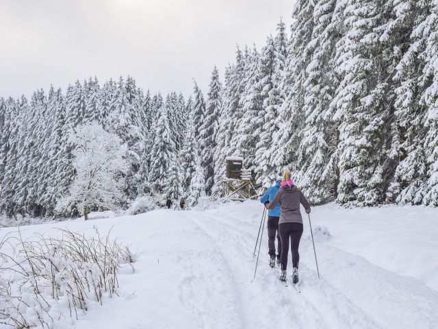 スキー旅行と正しい知識を持ち運転する雪道走行
